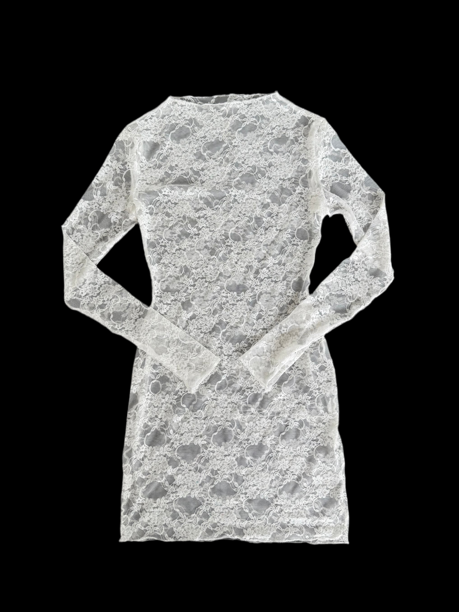 Lace Mesh Dress